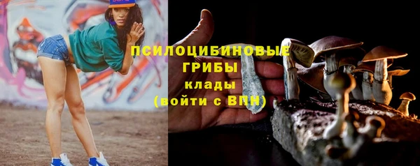 эйфоретик Бородино