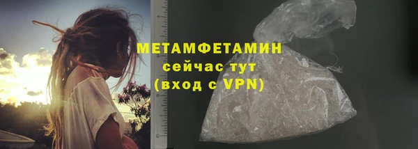 прущие грибы Верхний Тагил