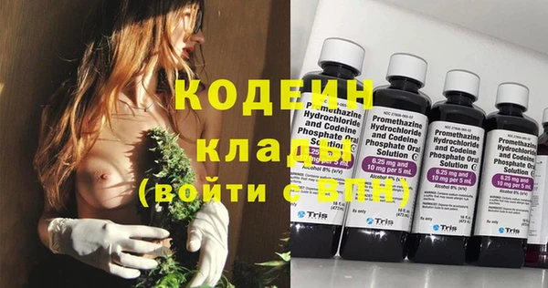 эйфоретик Бородино
