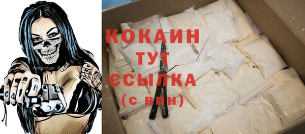 эйфоретик Бородино