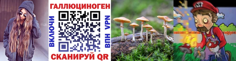 Псилоцибиновые грибы Psilocybe  купить  сайты  KRAKEN ТОР  Волгореченск 