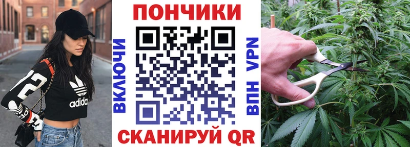 сколько стоит  Волгореченск  мега ССЫЛКА  Бошки марихуана White Widow 